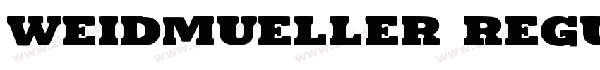 Weidmueller Regular字体转换